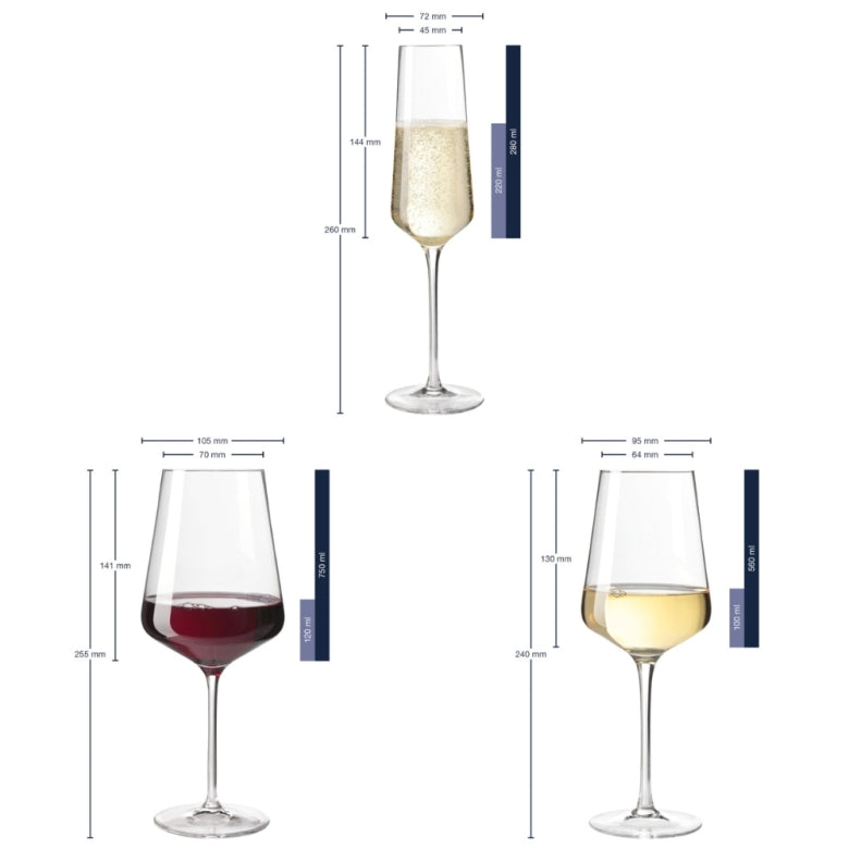 Set med Vinglas & Champagneglas PUCCINI / Leonardo 12-pack