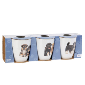 Hundmugg 3 pack