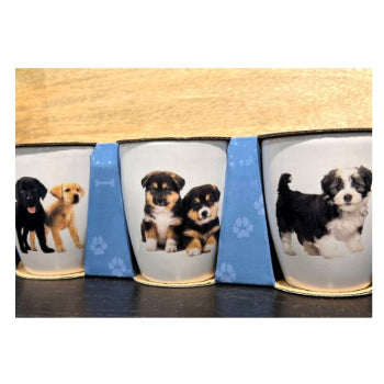 Hundmugg 3 pack
